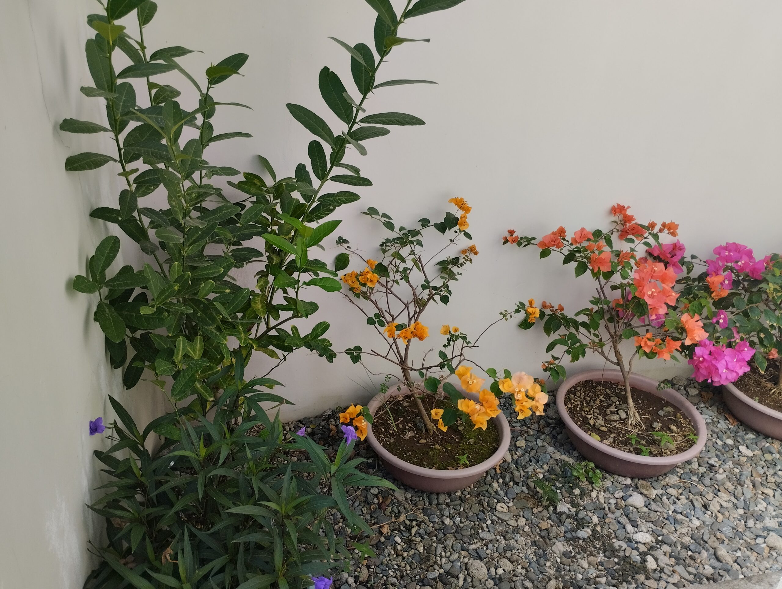 3BR House and Lot Fully Furnished Mabalacat City, Pampanga