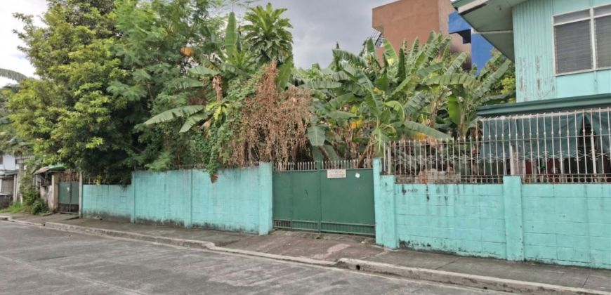 200 sqm Residential Lot in Summer Homes Subd, Concepcion Uno, Marikina City