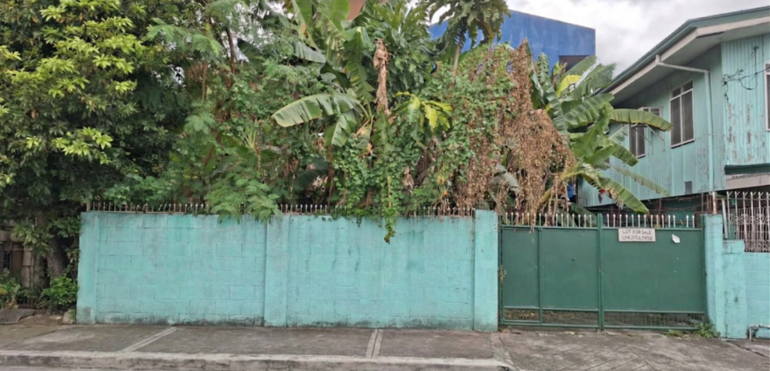 200 sqm Residential Lot in Summer Homes Subd, Concepcion Uno, Marikina City