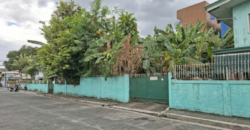 200 sqm Residential Lot in Summer Homes Subd, Concepcion Uno, Marikina City
