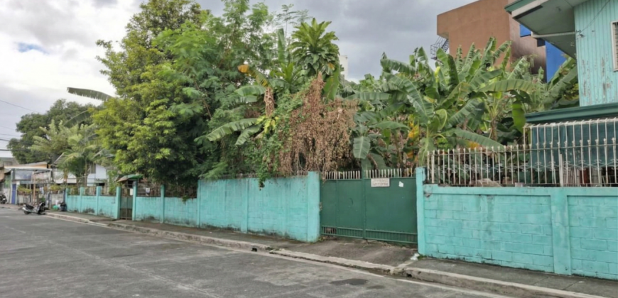 200 sqm Residential Lot in Summer Homes Subd, Concepcion Uno, Marikina City