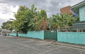 200 sqm Residential Lot in Summer Homes Subd, Concepcion Uno, Marikina City