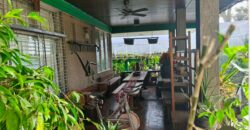 5BR Old House and Lot in Scout Gandia, Barangay Sacred Heart, Diliman, Quezon City