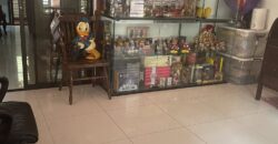 For Sale! Premium 3-Storey Residence in Ciudad Verde Executive Village, Fairview, Quezon City