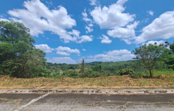 480 SQM Vacant Lot – Adjacent Lots in Eastland Heights, Antipolo City, Rizal