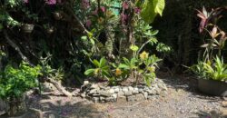 845 SQM House & Lot — Income-Generating BnB Just Steps from Arca South, Parañaque
