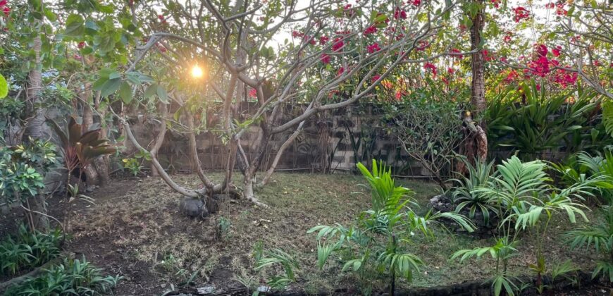 845 SQM House & Lot — Income-Generating BnB Just Steps from Arca South, Parañaque