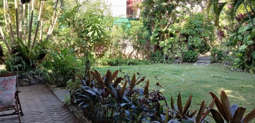 845 SQM House & Lot — Income-Generating BnB Just Steps from Arca South, Parañaque