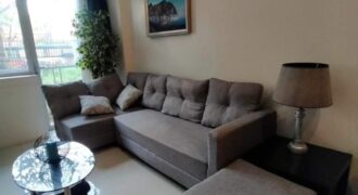 1-BR Fully-furnished Condominium Unit at Palm Tree Villas 1, Newport City, Pasay City.