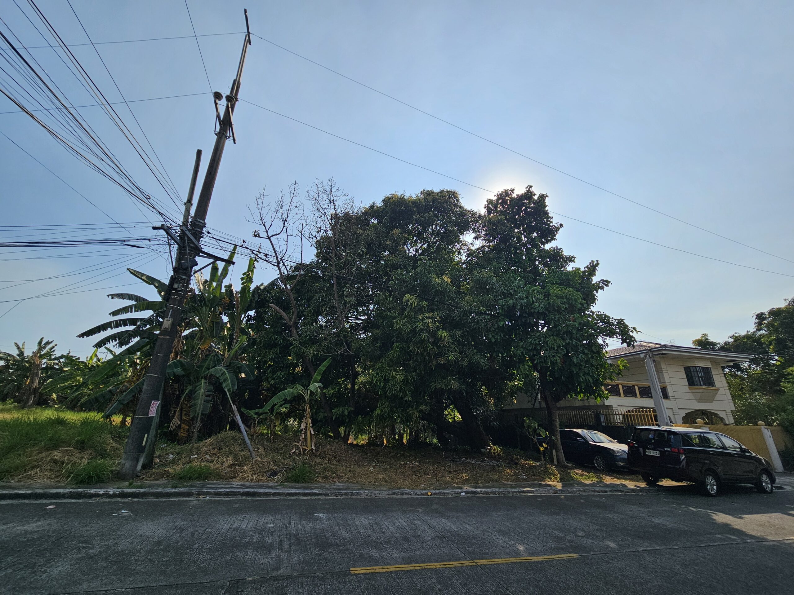 347 SQM Residential Lot in North Fairview, Quezon City