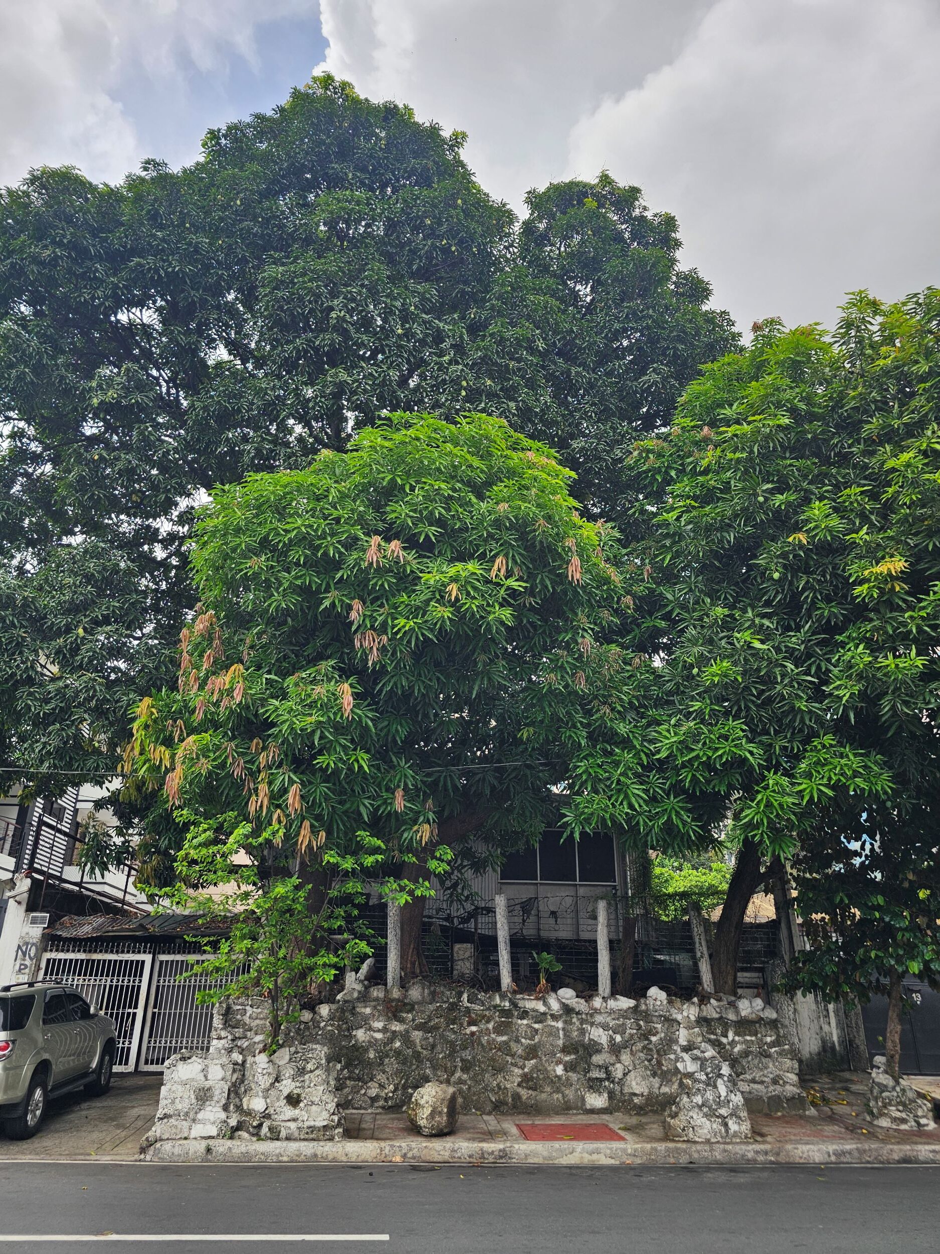 Residential Lot with Old Structure at Scout Bayoran, Quezon City