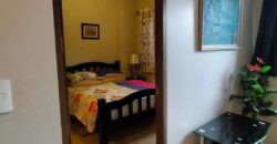 1-BR Fully-furnished Condominium Unit at Palm Tree Villas 1, Newport City, Pasay City.