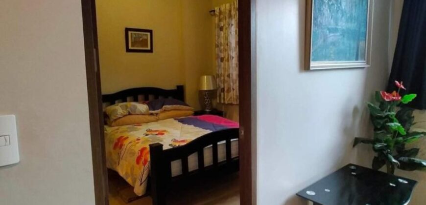 1-BR Fully-furnished Condominium Unit at Palm Tree Villas 1, Newport City, Pasay City.