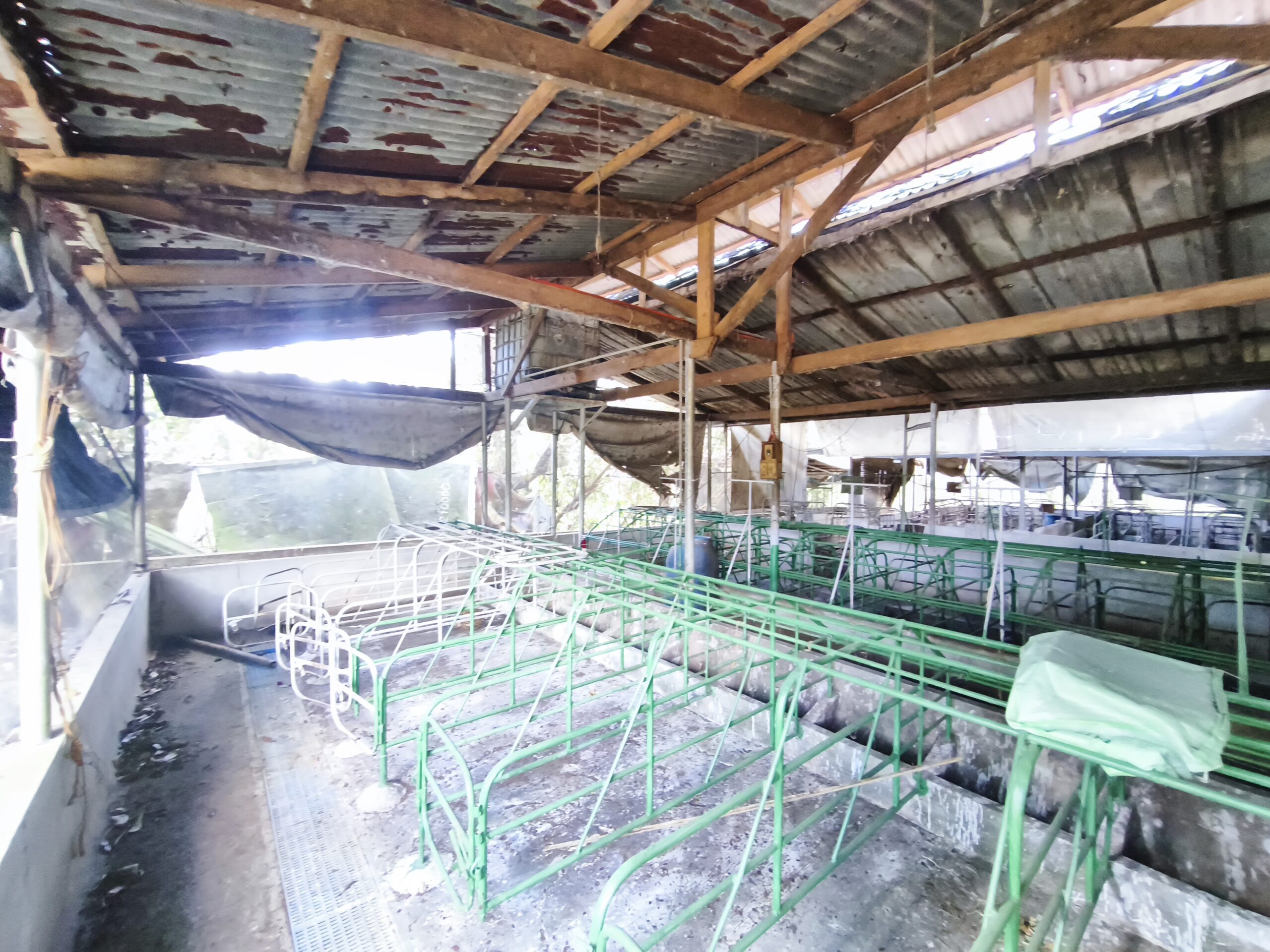2.05-Hectare Operational Farm & Resthouse for Sale – Lipa, Batangas (Near The Farm at San Benito)