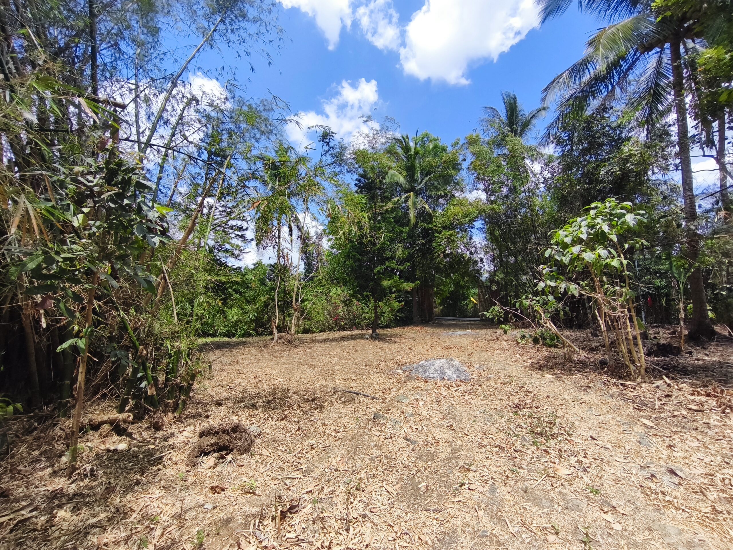 2.05-Hectare Operational Farm & Resthouse for Sale – Lipa, Batangas (Near The Farm at San Benito)