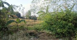 Prime Agricultural Land – 38,405 SQM, Gulod 2, Poblacion, Pandi, Bulacan