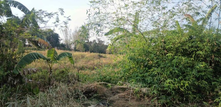 Prime Agricultural Land – 38,405 SQM, Gulod 2, Poblacion, Pandi, Bulacan