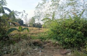 Prime Agricultural Land – 38,405 SQM, Gulod 2, Poblacion, Pandi, Bulacan