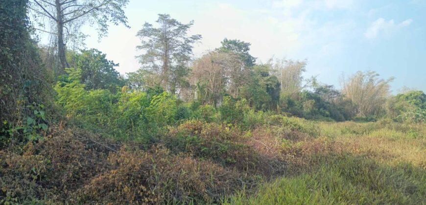 Prime Agricultural Land – 38,405 SQM, Gulod 2, Poblacion, Pandi, Bulacan