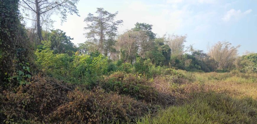 Prime Agricultural Land – 38,405 SQM, Gulod 2, Poblacion, Pandi, Bulacan