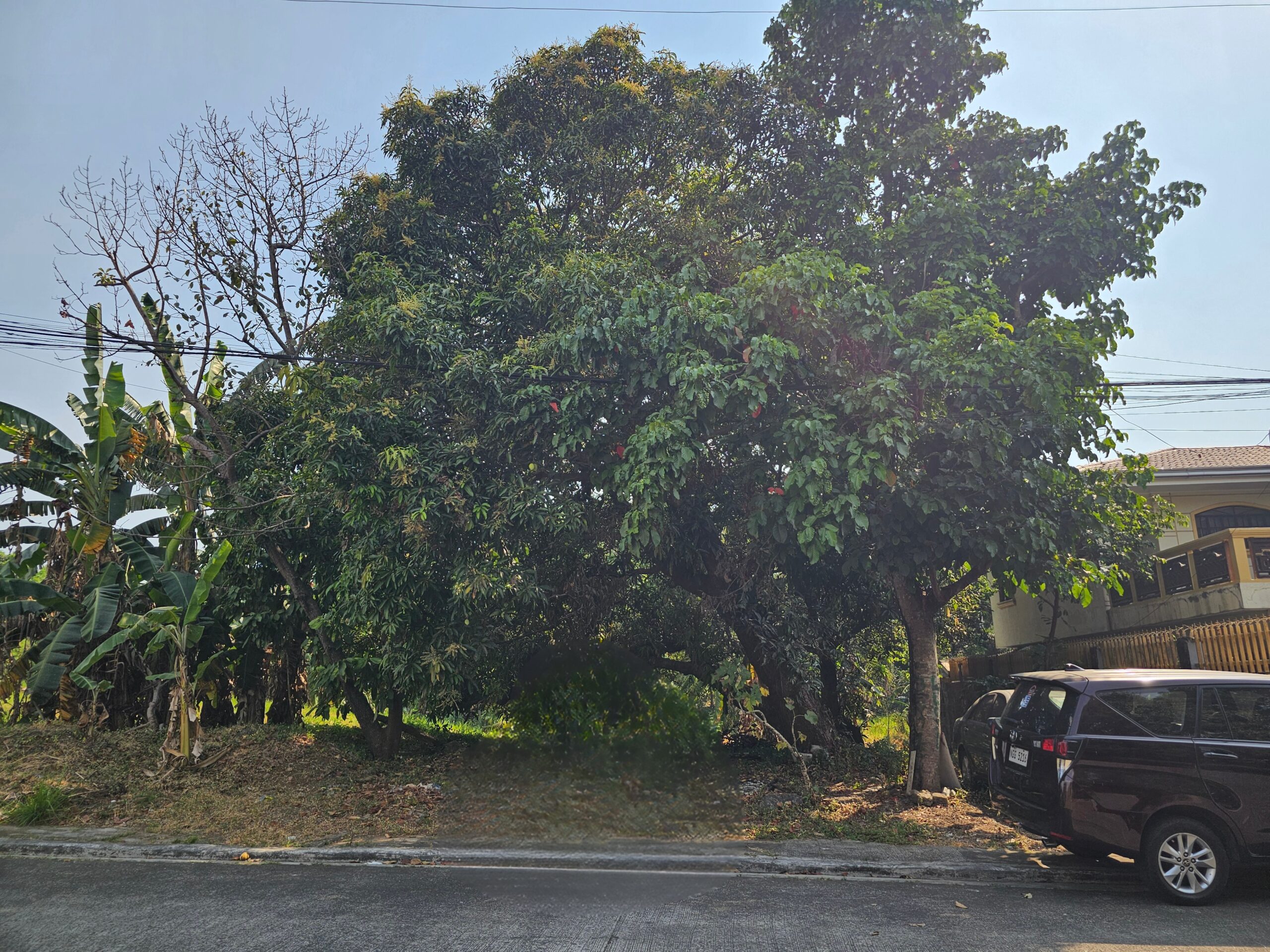 347 SQM Residential Lot in North Fairview, Quezon City