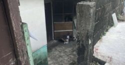 250.40 SQM Lot with Old House at Narcissus St. Roxas District, Project 5, Quezon City