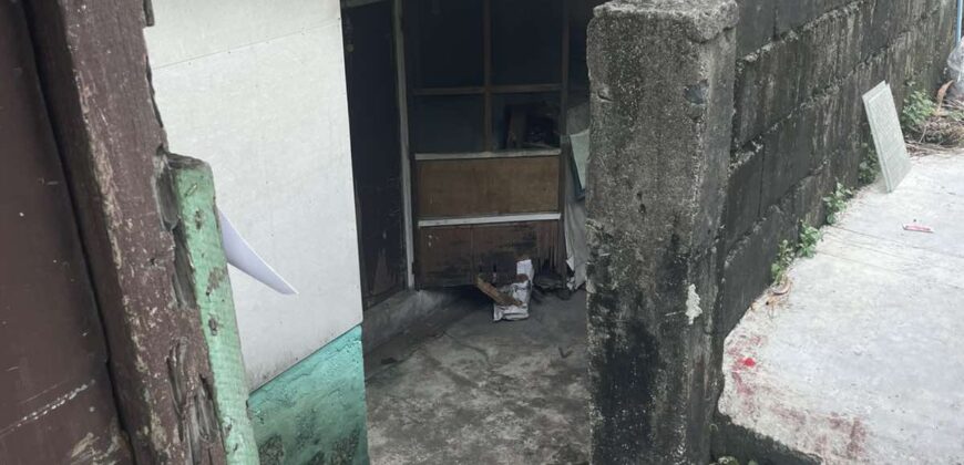 250.40 SQM Lot with Old House at Narcissus St. Roxas District, Project 5, Quezon City