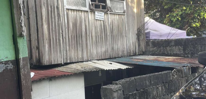 250.40 SQM Lot with Old House at Narcissus St. Roxas District, Project 5, Quezon City
