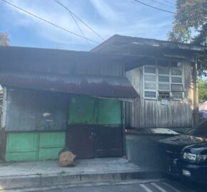 250.40 SQM Lot with Old House at Narcissus St. Roxas District, Project 5, Quezon City