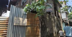 207 SQM LOT FOR SALE IN EULOGIO DRIVE, BALINTAWAK, QUEZON CITY