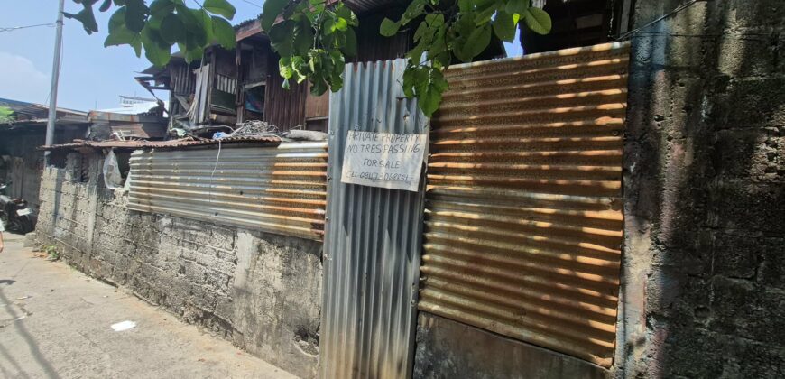 207 SQM LOT FOR SALE IN EULOGIO DRIVE, BALINTAWAK, QUEZON CITY