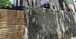 207 SQM LOT FOR SALE IN EULOGIO DRIVE, BALINTAWAK, QUEZON CITY