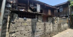 207 SQM LOT FOR SALE IN EULOGIO DRIVE, BALINTAWAK, QUEZON CITY