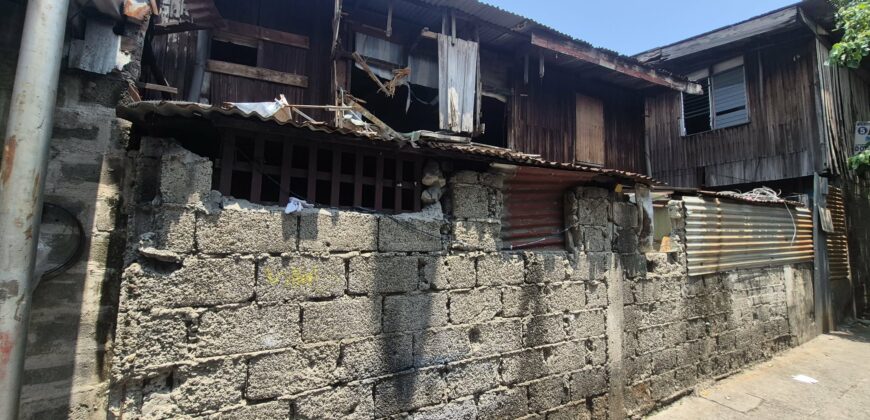 207 SQM LOT FOR SALE IN EULOGIO DRIVE, BALINTAWAK, QUEZON CITY