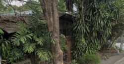 193 SQM Lot with Old Residential Structure at Broadway corner 18th St. Brgy. Kalusugan, New Manila, Quezon City