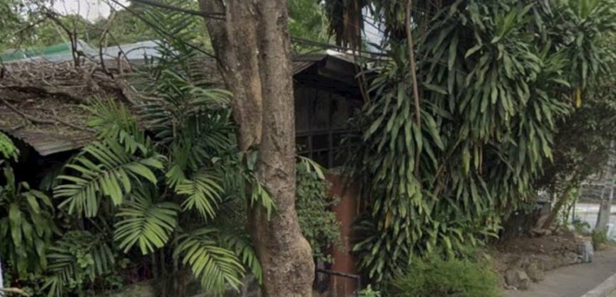 193 SQM Lot with Old Residential Structure at Broadway corner 18th St. Brgy. Kalusugan, New Manila, Quezon City