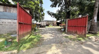300sqm Residential Lot in Sacred Heart, Lagro, Quezon City