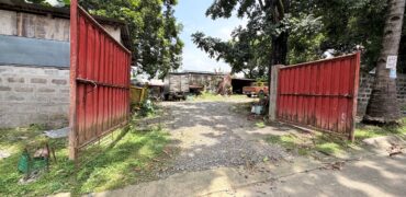 300sqm Residential Lot in Sacred Heart, Lagro, Quezon City
