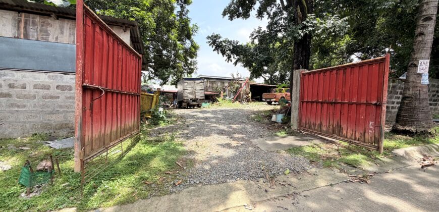 300sqm Residential Lot in Sacred Heart, Lagro, Quezon City