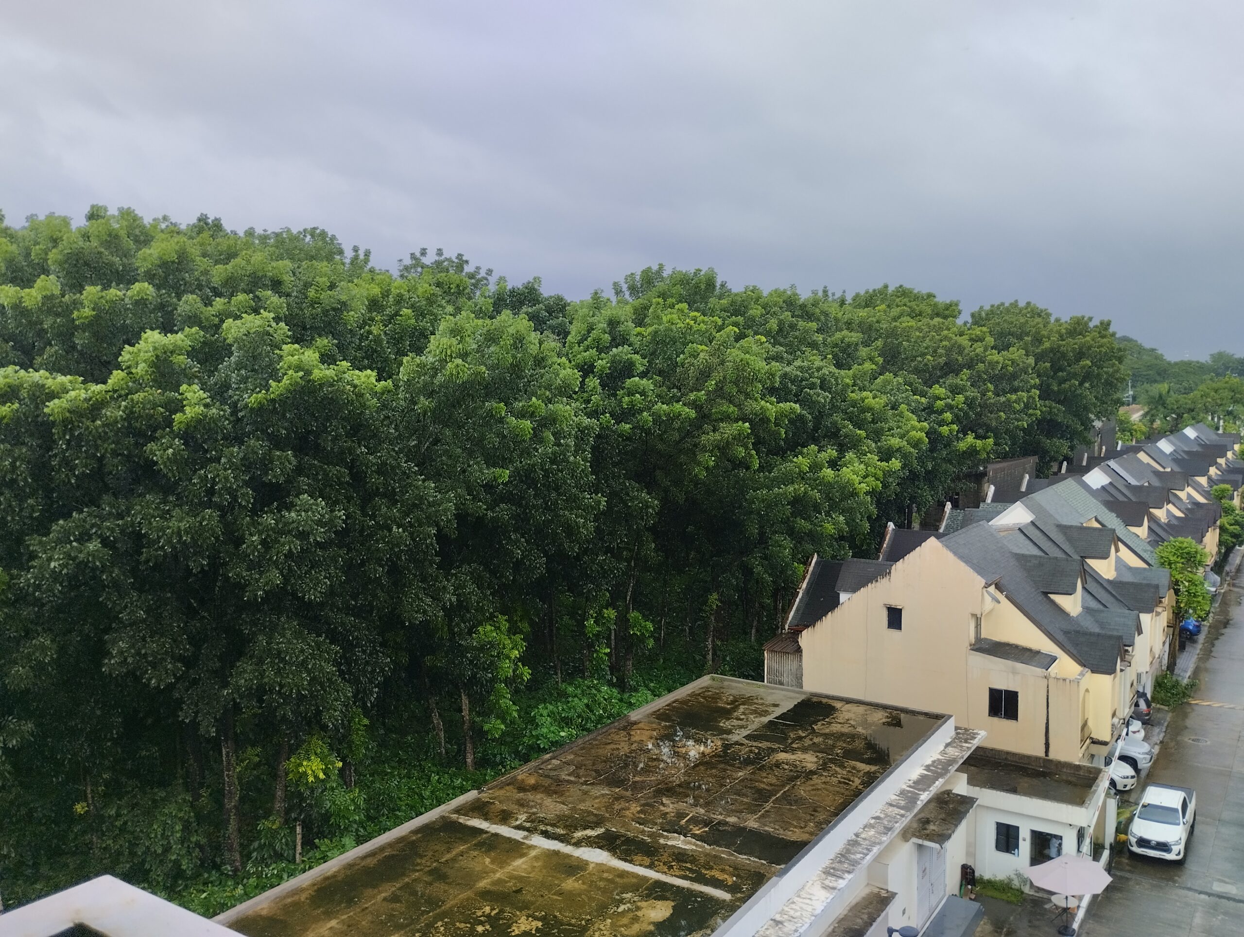 2BR + Maid’s Room | 2 Parking Slots | Golfhill Gardens, Capitol Hills