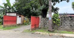 300sqm Residential Lot in Sacred Heart, Lagro, Quezon City