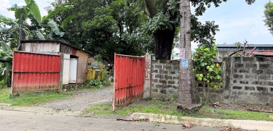 300sqm Residential Lot in Sacred Heart, Lagro, Quezon City