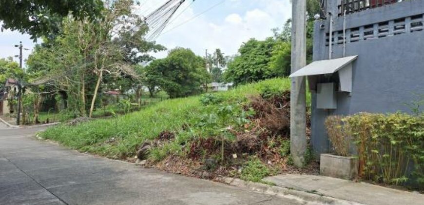 328sqm Vacant Lot for sale in Bankers Village III, along sumulong highway, Antipolo, Rizal.
