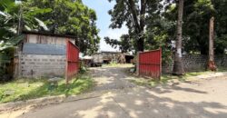 300sqm Residential Lot in Sacred Heart, Lagro, Quezon City