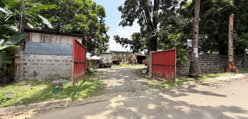 300sqm Residential Lot in Sacred Heart, Lagro, Quezon City