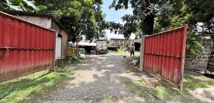 300sqm Residential Lot in Sacred Heart, Lagro, Quezon City
