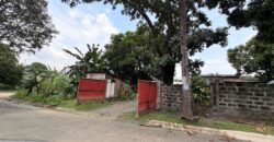 300sqm Residential Lot in Sacred Heart, Lagro, Quezon City