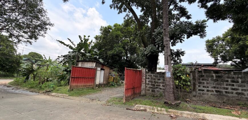 300sqm Residential Lot in Sacred Heart, Lagro, Quezon City