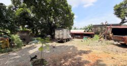 300sqm Residential Lot in Sacred Heart, Lagro, Quezon City