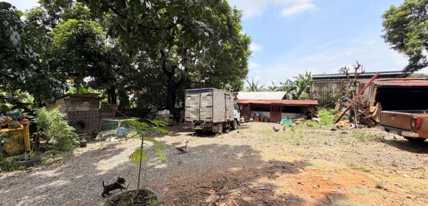 300sqm Residential Lot in Sacred Heart, Lagro, Quezon City